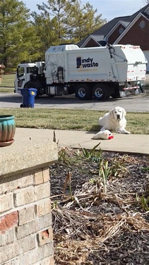 Clean Stickered Python! #garbagetruck