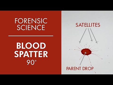 CSI - Forensic Blood Spatter Characteristics - Criminalistics