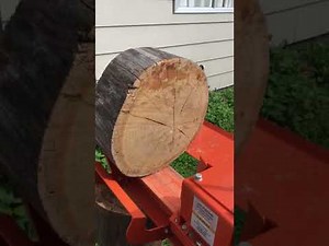 Kivi nz log splitter