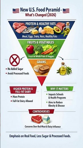 New U.S. Food Pyramid 2026 Explained | Major Diet Rules Just Changed