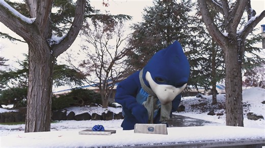 18 reactions | We hope you find success in 2023! From all of us here at CBC, have a happy and safe holiday season. ❄️ #happyholidays #tricitieswa #pascowa | Columbia Basin College | Facebook