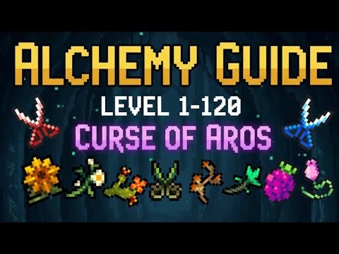 Curse of Aros - 2026 Full Alchemy Guide | Best Farming Spots, Skill Gear, Chests and keys