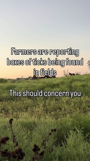 Tick Infestation on Farms: What Farmers Need to Know