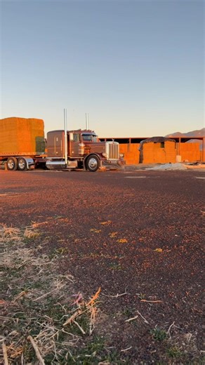 Exploring the Legacy of Vintage Trucks: Peterbilt 359