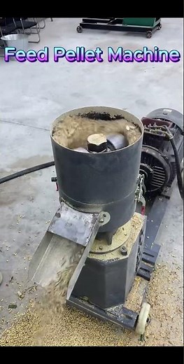 Feed Pellet Machine Working Video | Animal Feed Production Made Easy#farmequipment #livestockfeed