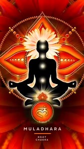 How to activate mooladhar chakra (root chakra)☀️ ☀️The color of this chakra is red and the beej mantra is Lam ☀️Sit in this aasan (padmaasan) and focus at the base of your spine and chant Lam ☀️Eat mostly red food, walk barefoot on grass, affirm that you are grounded and spend some time in nature ☀️Do this for few weeks Follow @healing.heights for more amazing Vastu Tips #vastu #vastuconsultant #vastutipsforhome #vastutip #vastutips vastutipsforhome vastutipsformoney vastutipforhome vastutipsfor