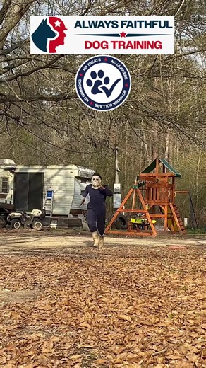 Michael Myers in Louisiana: A Funny Dog Video