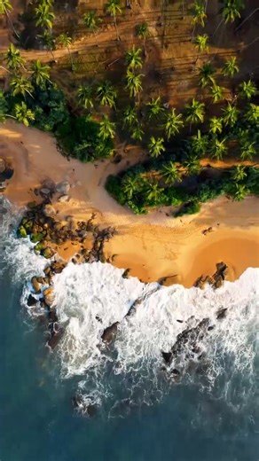 The magnificent beaches of Sri Lanka.🇱🇰 #srilanka #srilankatravel #srilankatourism #beach #naturephotography @top fans | Nature at its Best