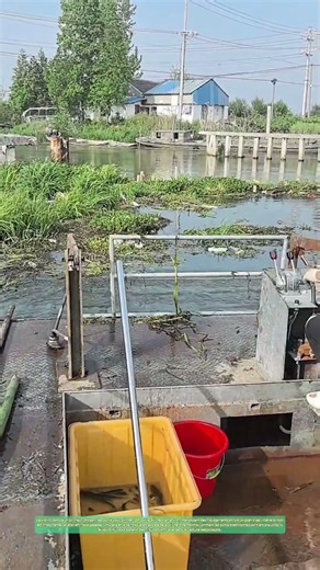 La pêche traditionnelle : Comment les outils anciens permettent de capturer les poissons avec succès