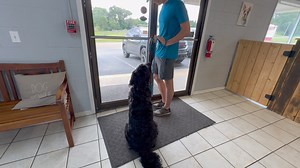 We may use Door Dash to order lunch but your dog should NOT be a door dasher! We offer a variety of programs made to teach handler and dog communication! 💜One on One Lessons 💜Day Train 💜Board & Train 💜In Home Lessons 🩵We are offering 10% off our Board & Trains for the month of August! Call, Text or Message us today! Featuring our trainee Miloh showing us some beautiful door manners! | Sublime K9 Training & Boarding, LLC