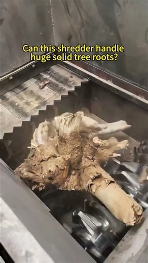 Look what this single‑shaft shredder does to huge tree roots