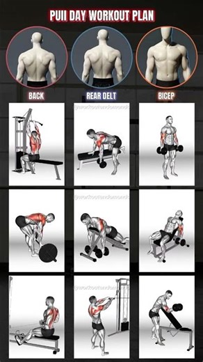 🔥🔥Back, Rear Delts & Biceps — Complete Upper Body Strength Routine 🔥🔥.