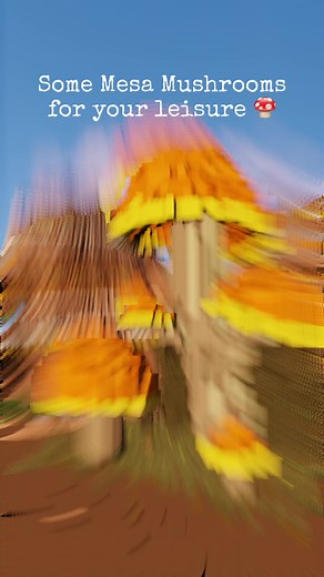 A small build that makes a big impact. Enjoy the Mesa Mushrooms! #minecraft #minecraftbuild #minecraftbuilds #minecraftmushroom #minecraftbuildideas #minecraftbuildidea #mushrooms