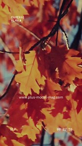 Morning Inspiration... #plusmodelmag | Plus Model Magazine