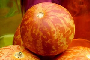 How to Plant and Grow Tiger Melons
