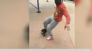 Will man who kicked cat go to jail?