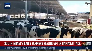 12K views · 317 reactions | South Israel's dairy farmers reeling after Hamas attack, pleading for government help | i24NEWS English | Facebook