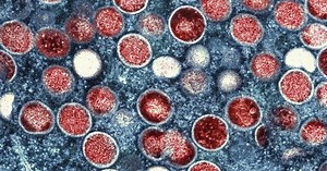 The week in fake news: Social-media stories that struck out with fact-checkers