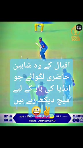 186 reactions · 11 comments | Australia win the cup CwC23 #cwc2023 浪浪 | ᎧᏁᏝᎩ ᏰᏋᏗᏬᏖᎩ ᏒᏋᏋᏝᏕ | Facebook