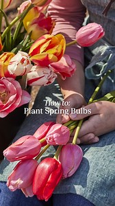 4.8K views · 47 reactions | Spring seems far off at the moment, but...