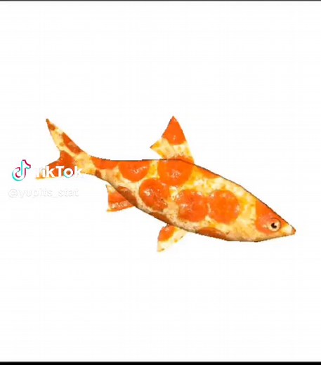 Hilarious Spinning Fish Meme Compilation