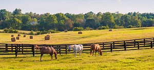 Prefab Kentucky Timber Frame Homes & Cabin Kits | 1-7k  SqFt