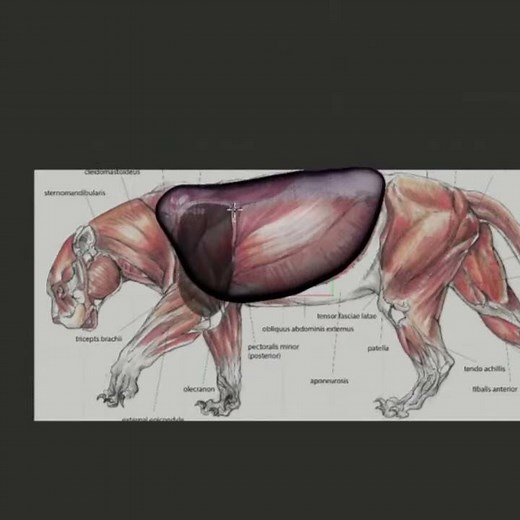 ZBrush 2021.6 Mesh from Mask - Watch the Full Presentation in the Description