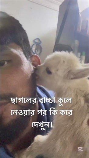 #shorts #shortsvideo #viral #goat