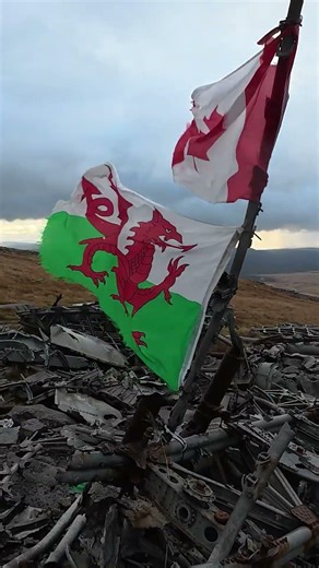 I Found a Plane Crash Site #exploration #explore #adventure