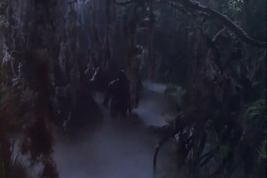 Starfleet Records. Fleet's personnel. Seven of Nine. Life as a Borg drone: The other drones, who were assimilated as adults, began to regain their identities upon being severed from the Borg Collective, but Seven was frightened as she knew nothing else but life as a drone. She forcibly linked the other drones together into a temporary collective in order to suppress their identities, and they were retrieved soon after. Sources: VOY: "Survival Instinct"; "Unimatrix I-II" Star Trek Star Trek Onlin