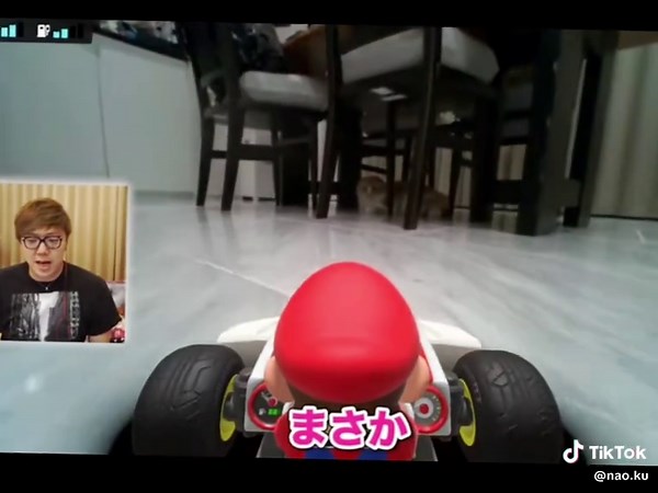 まるおが可愛すぎる笑笑マリオカートライブホームサーキット#ヒカキン #まるお #可愛い @HIKAKIN ヒカキン公式 #CapCut