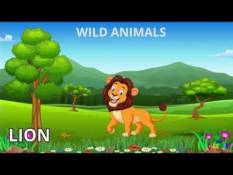 Pet vs. Wild Animals: Club Baby EDU Breaks It Down!