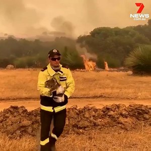 16K views · 135 reactions | As fire crews battle to bring bushfires raging across the western end of Kangaroo Island under control, a firefighter rushes to save a koala from nearby roaring flames. More: 7news.link/eYBVmM The latest on the bushfires in 7NEWS at 6pm. Credit: Damian Joyce #Koala #KIfires #7NEWS | 7NEWS Adelaide | Facebook