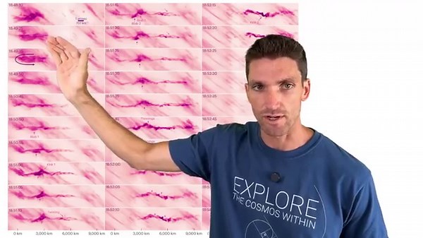 Do Earth-Sized Plasma Organisms Live On the Sun? Strange Coronal Plasmoid Observed