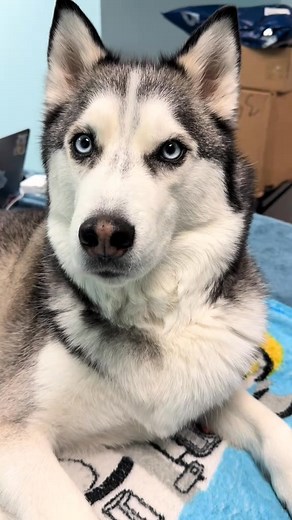 Gotta love morning chit chats with sanu baba monkey pants! | itsplutoswrld