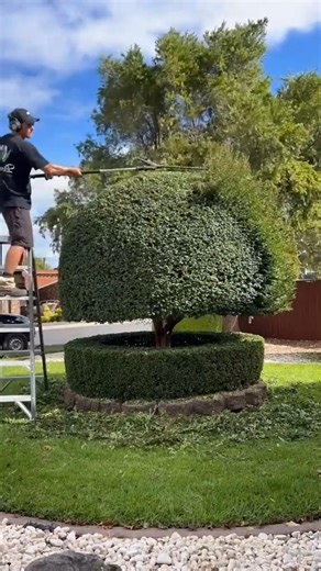 The Most Relaxing Job in the World #shorts