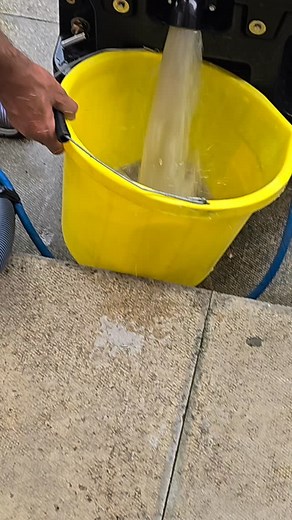 #slough #Berkshire #steamCarpetClean #rugclean #hotwaterextraction #reading #highwycombe #bracknell #hounslow #endoftenancy #cheapcarpetcleaningservice #landlord #carpetcleaning #newtenancy #london | Disinfecto Carpet Cleaners