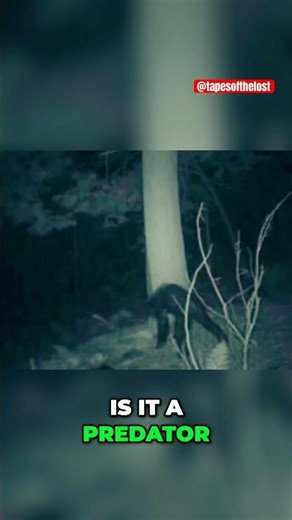 Will the Disappearances in the Bennington Triangle Ever Stop?
