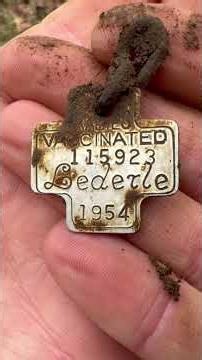 What treasures are in these woods? #metaldetecting #metaldetector