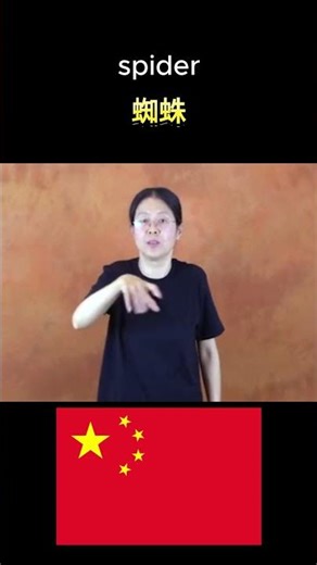 [World Sign Languages] How to Sign 'Spider' in 5 Different Countries #signlanguage #shorts #Spider