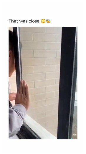 Gingerbread Clips 🍞 | A wasp attack 🐝 can be one of the most terrifying experiences outdoors — fast, unexpected, and full of chaos. Unlike bees, wasps can sting... | Instagram