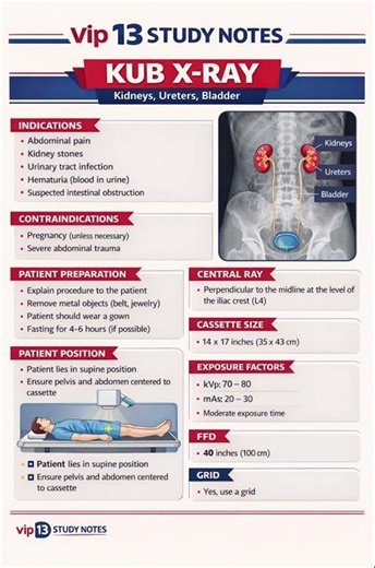 KUB X-Ray Anatomy Explained in 30 Seconds | Kidney Stone X-Ray #anatomy #shorts #yt