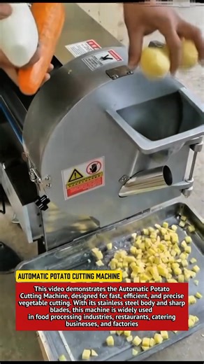 Automatic Potato Cutting Machine | Industrial Vegetable Dicer for Fast Food Processing.