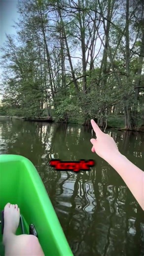 Coś Ich OBSERWOWAŁO Zza Drzew!! 👀