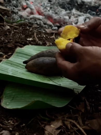 Ancient survival tech: primitive oven and hand-drill fire making... How people made fire before modern tools existed #american #Survival #USA #survival #outdoor #campinglife #bushcraft #outdoors #UK
