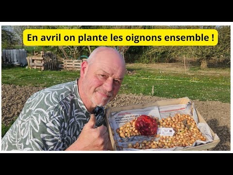 Visiting the garden with Philippe, we plant the onions!! My tips to help you