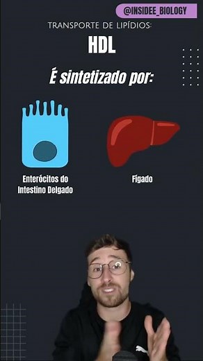 The cleaner of your blood: how HDL saves your heart ♥️ @Prof.DiegoReinicke #education