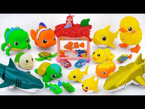 [Toy asmr] RC Shark & Pink Dolphin & Crocodile & Zuru Fish &Aquarium ASMR Satisfying with Unboxing