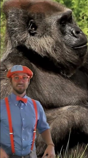 Blippi's Silly Monkey Song! Let's Move & Sing Like a Monkey!