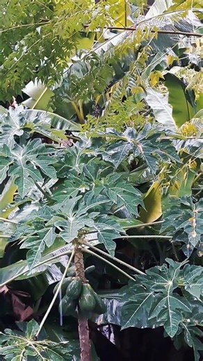 This Rain Sound Feels Like Therapy